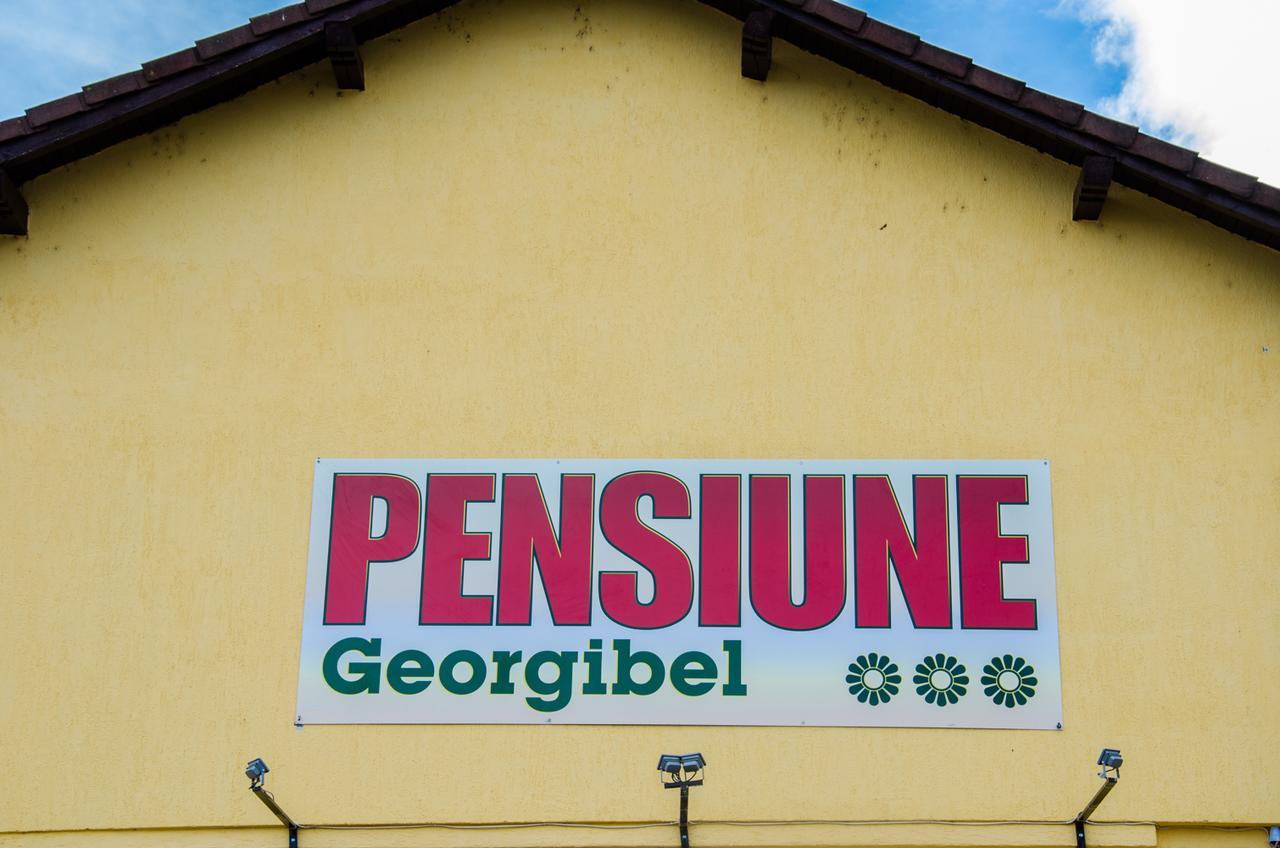 Pensiunea Georgibel Ντέβα Εξωτερικό φωτογραφία